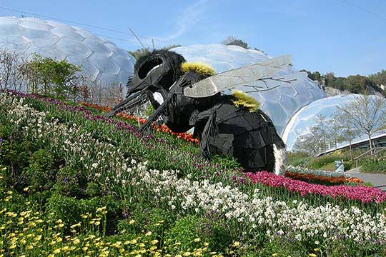 The Eden Project - Cornwall