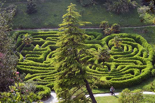 Glendurgan Gardens Maze